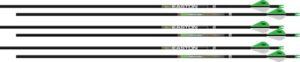 EASTON ARROW AXIS 4MM 400 2" - BLAZER VANES 6-PACK LONG RANGE