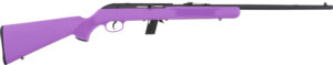 SAVAGE 64F 22LR 21" BBL - BLUED/PURPLE SYNTHETIC