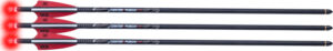 TENPOINT CENTERPUNCH HPX 20" - ARROW ALPHA-BLAZE HPX 3PK