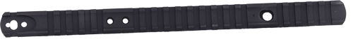 XS LEVER RAIL GHOST RING WS - HENRY .45-70