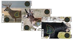 Champion Visicolor Real Life Target - Big Game